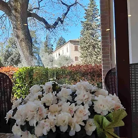 Il Boschetto 3* تولينتينو