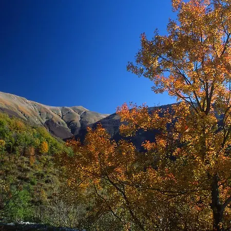 Il Boschetto Tolentino