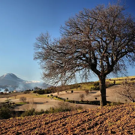 Il Boschetto 3* Tolentino